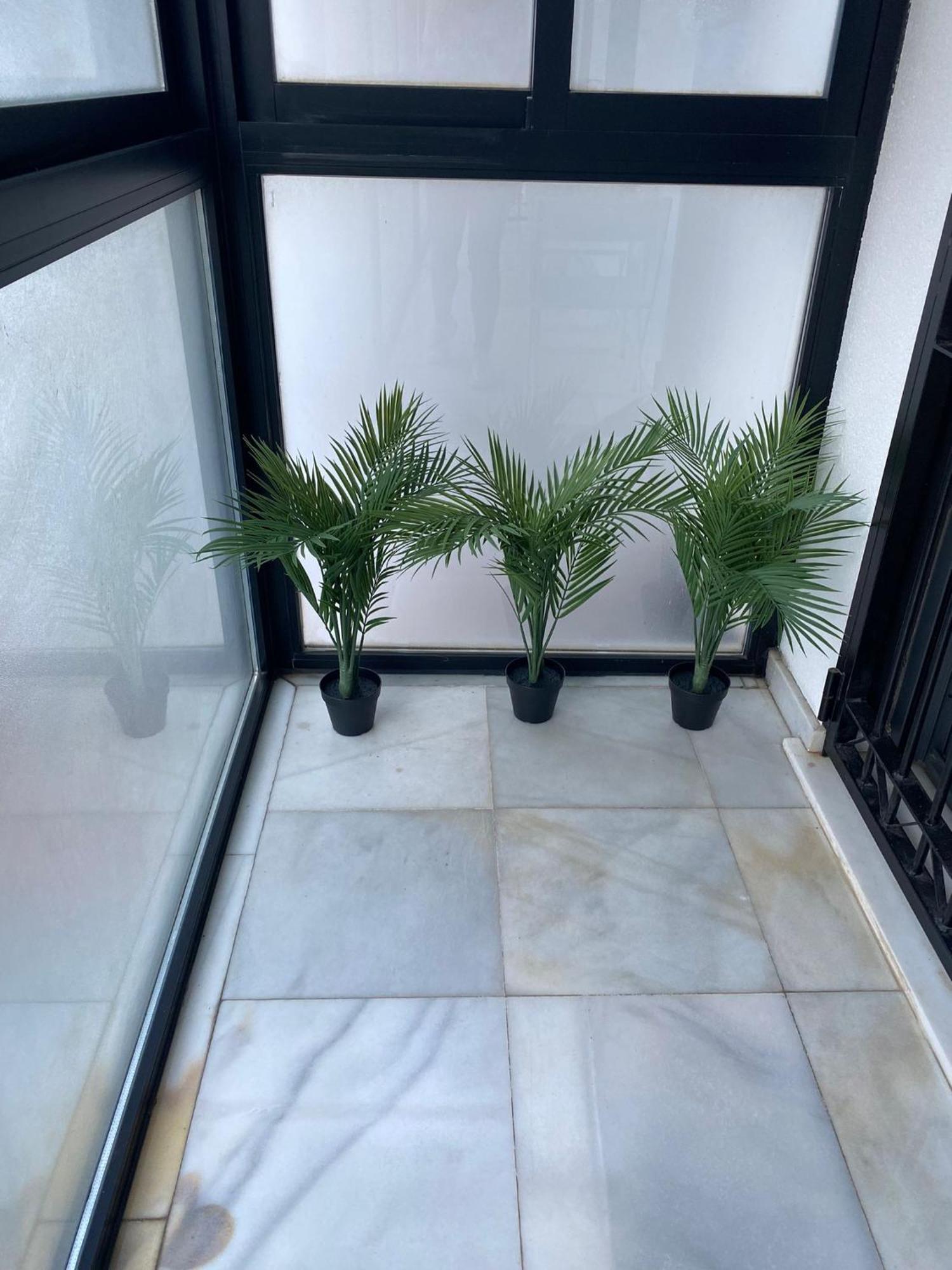 Apartamento Carvajal Beach 丰希罗拉 客房 照片